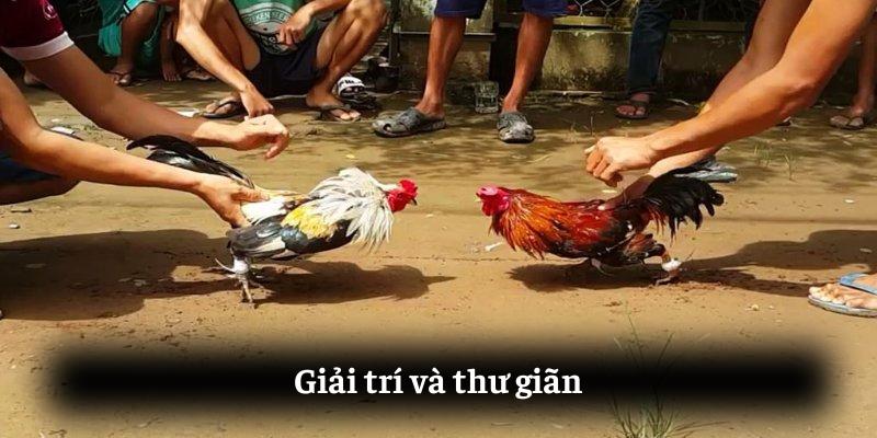 Giải trí và thư giãn