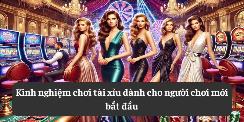 Kinh nghiệm chơi tài xỉu dành cho người chơi mới bắt đầu