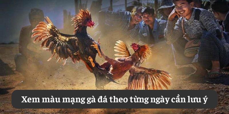 Xem màu mạng gà đá theo từng ngày cần lưu ý