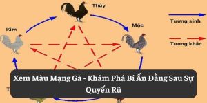 Xem Màu Mạng Gà: Khám Phá Bí Ẩn Đằng Sau Sự Quyến Rũ